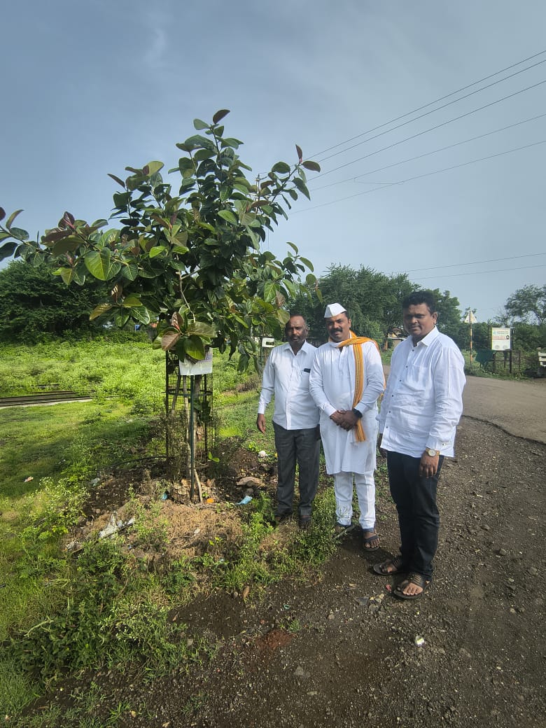 वृक्षारोपण कार्य